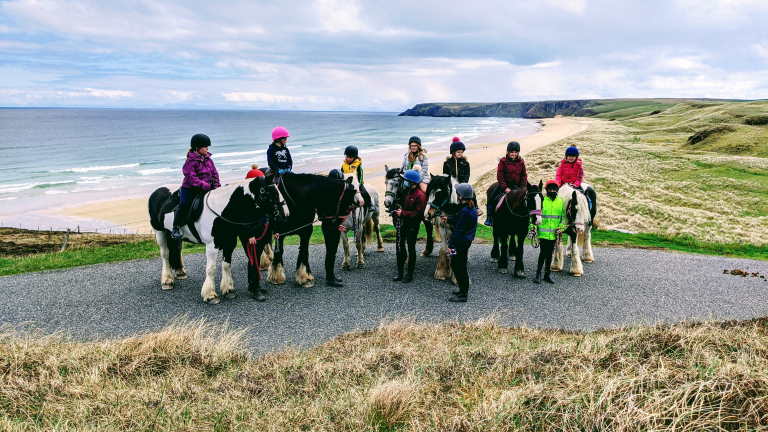 horses lined up in front of beach