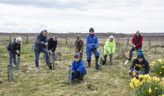 Point & Sandwick Community Tree Planting Aird