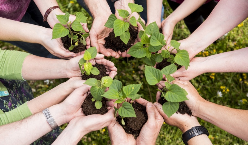People holding plants