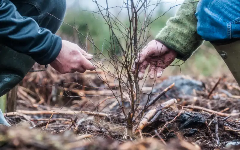 Grofting Crofting | Highlands and Islands Enterprise | HIE