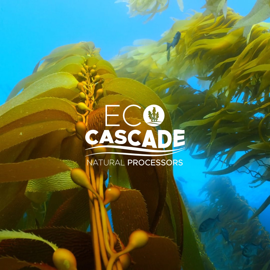 Eco Cascade